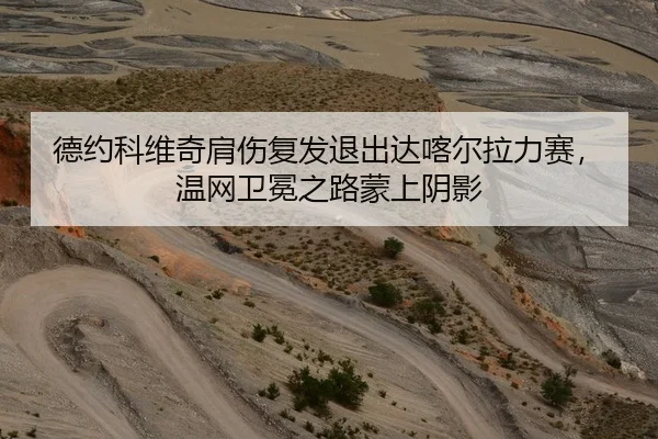 德约科维奇肩伤复发退出达喀尔拉力赛，温网卫冕之路蒙上阴影